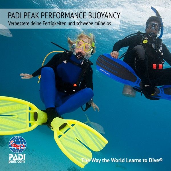 Sunshine Divers - PADI TARIERUNG IN PERFEKTION