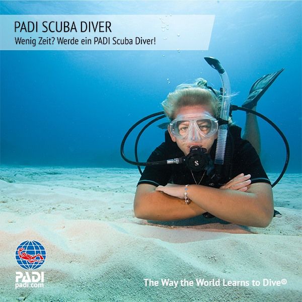 Sunshine Divers Tauchschule - PADI Open Water Diver Kurs - PADI Scuba Diver