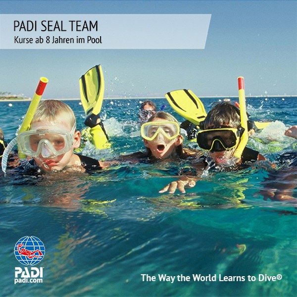Sunshine Divers Tauchschule - PADI Tauchkurs Seal Team für Kids im Pool