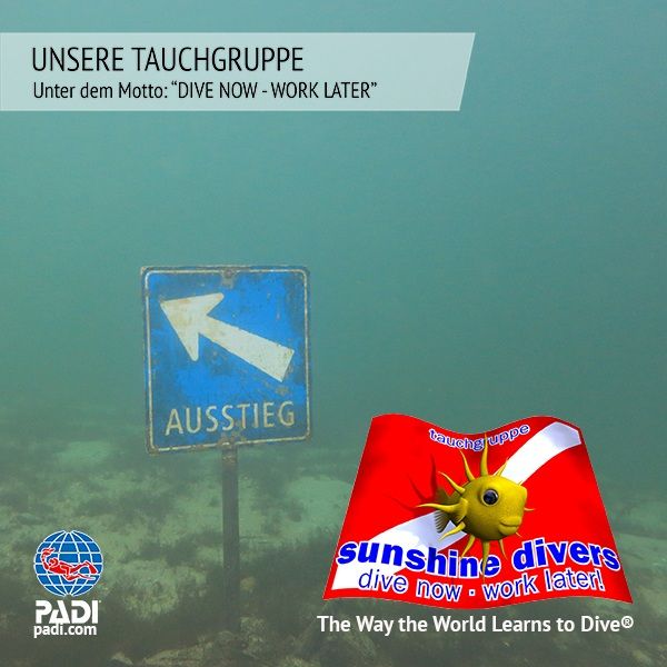 Sunshine Divers - Tauchen am Bodensee - unsere Tauchgruppe