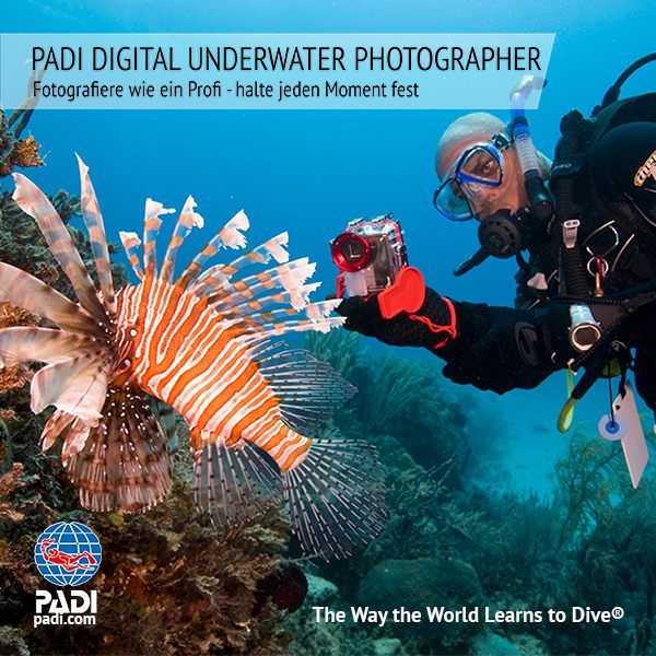 Sunshine Divers St.Gallen - PADI Unterwasser Fotografie Spezialkurs