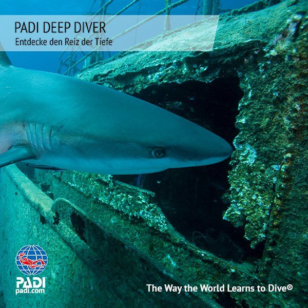 Sunshine Divers - PADI DEEP DIVER KURS