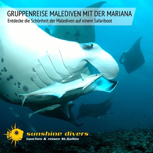 Sunshine Divers St.Gallen - Gruppenreise Malediven Tauchsafari mit der Mariana
