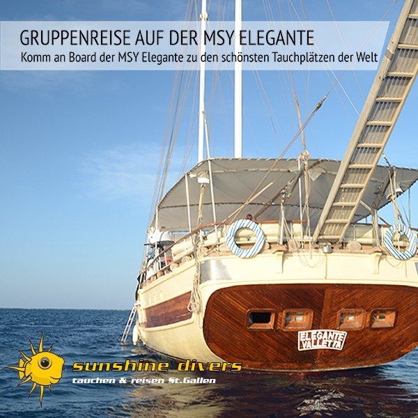 Tauchsafari Sudan - MSY Elegante  - SunshineDivers St.Gallen