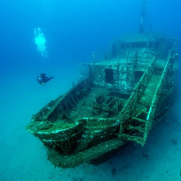 Tauchferien Europa - Madeira (Atlantik)