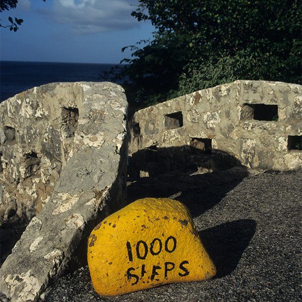 Tauchferien Bonaire mit Sunshine Divers St.Gallen