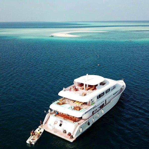 Tauchsafari Malediven - MY Horizon 3