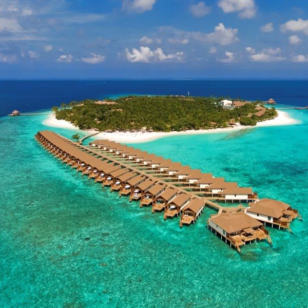 Tauchferien Malediven - Reethi Faru Resort 