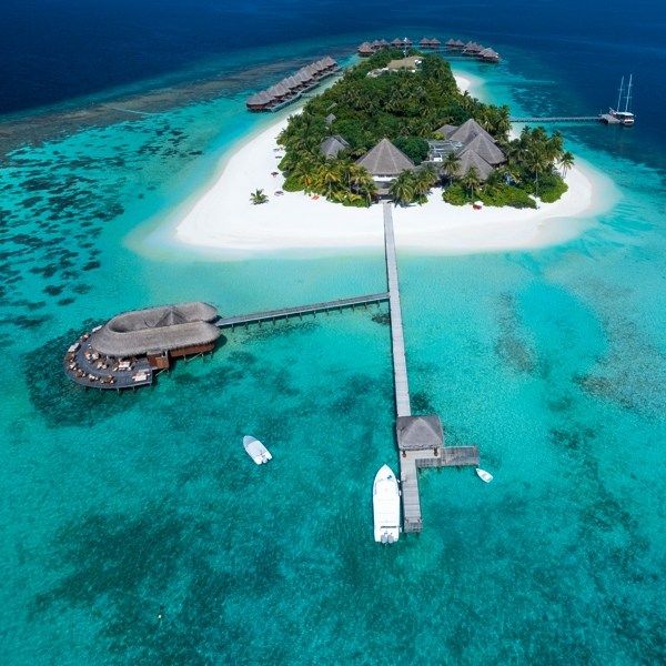 Tauchferien Malediven - Mirihi Island Resort 
