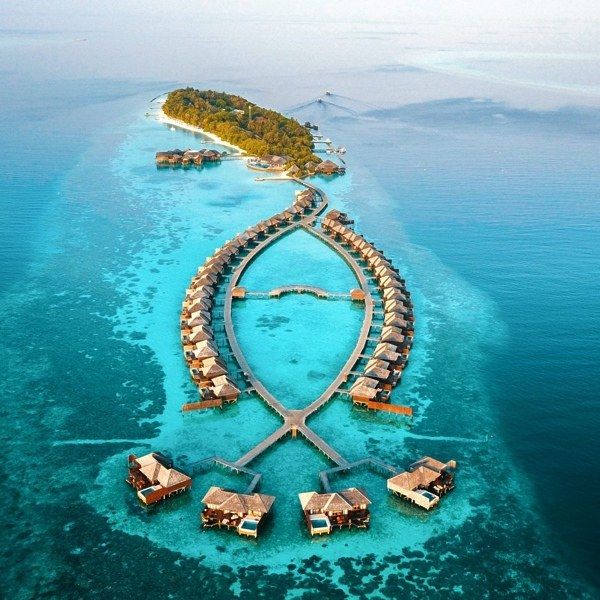 Tauchferien Malediven - Lily Beach Resort