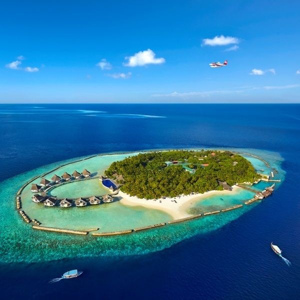 Sunshine Divers St.Gallen - Tauchferien Malediven - Ellaidhoo Maldives by Cinnamon