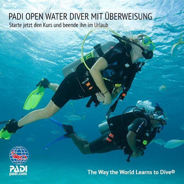 Sunshine Divers Tauchschule - PADI Open Water Diver Kurs mit Ueberweisung ins Ausland
