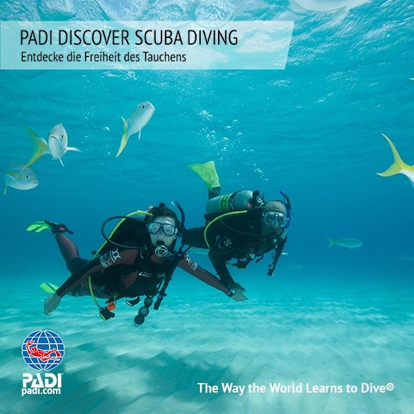 Sunshine Divers Tauchschule - PADI Schnuppertauchen im See